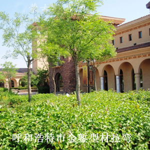 阳光诺卡小区售楼处