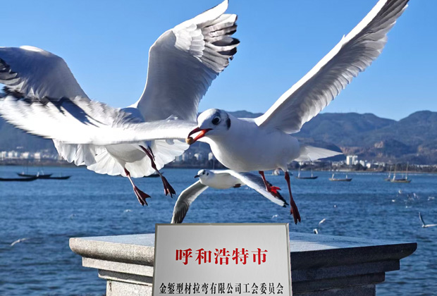 金錾拉弯厂：匠心雕琢细节的型材拉弯加工厂家